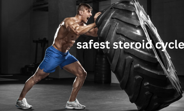 safest steroid cycle