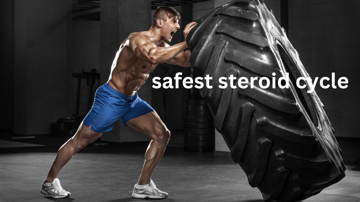 safest steroid cycle