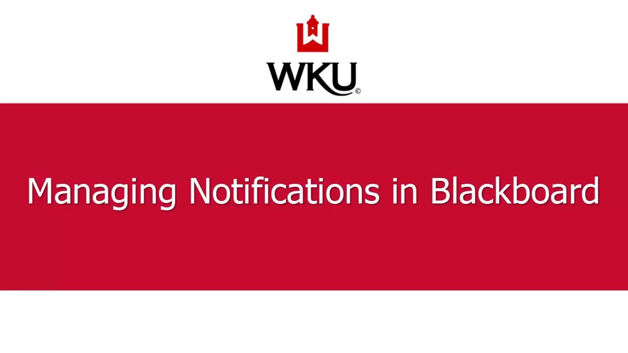 WKU Blackboard: Guide to Western Kentucky University's Online Learning Platform