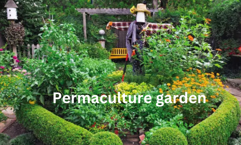 Permaculture garden